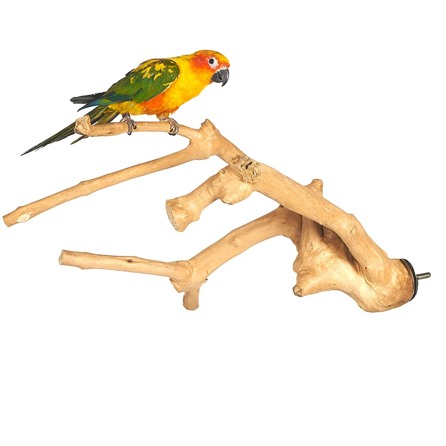 Elegant Java Wood Bird Perch Multi Branch Medium Advanced