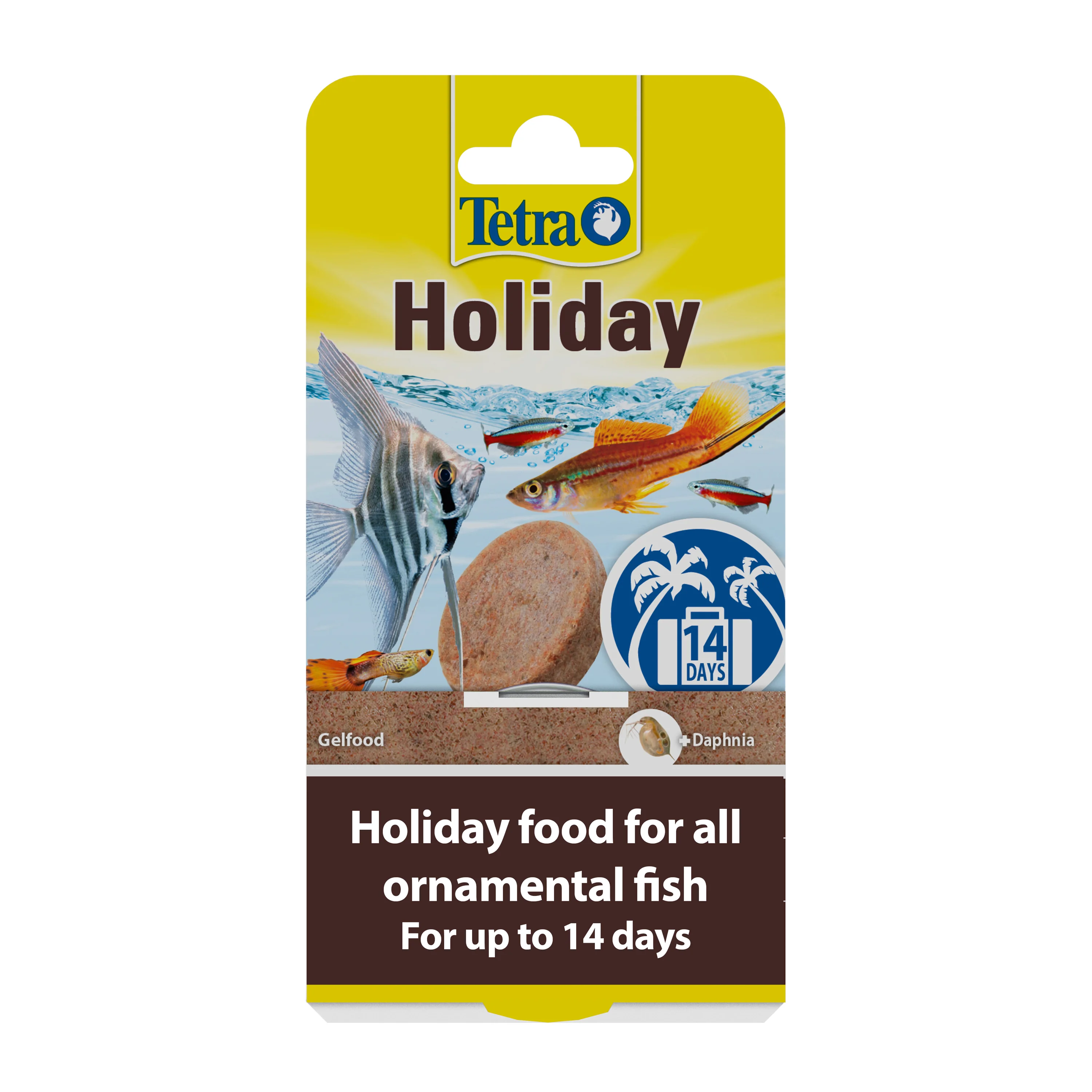 Elegant TetraMin Holiday Healthy Nutrition Tropical Aquarium Fish Food 2x12g Fine