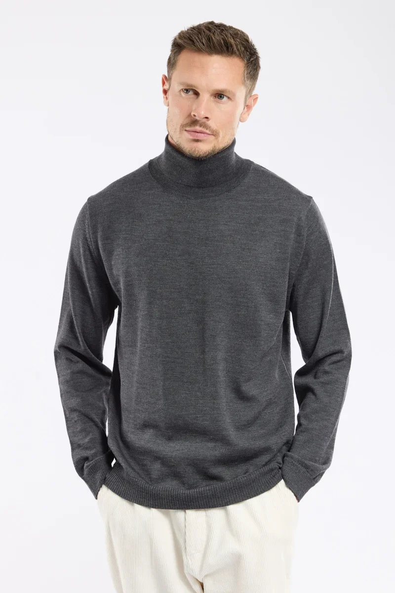 Fashionable Pull col roulé – laine mérinos Healthy