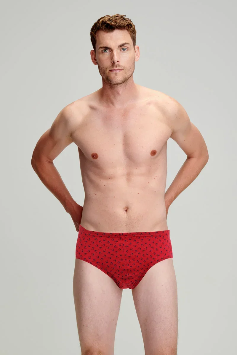 Lightweight Sailboat patterned briefs – light organic cotton Smart