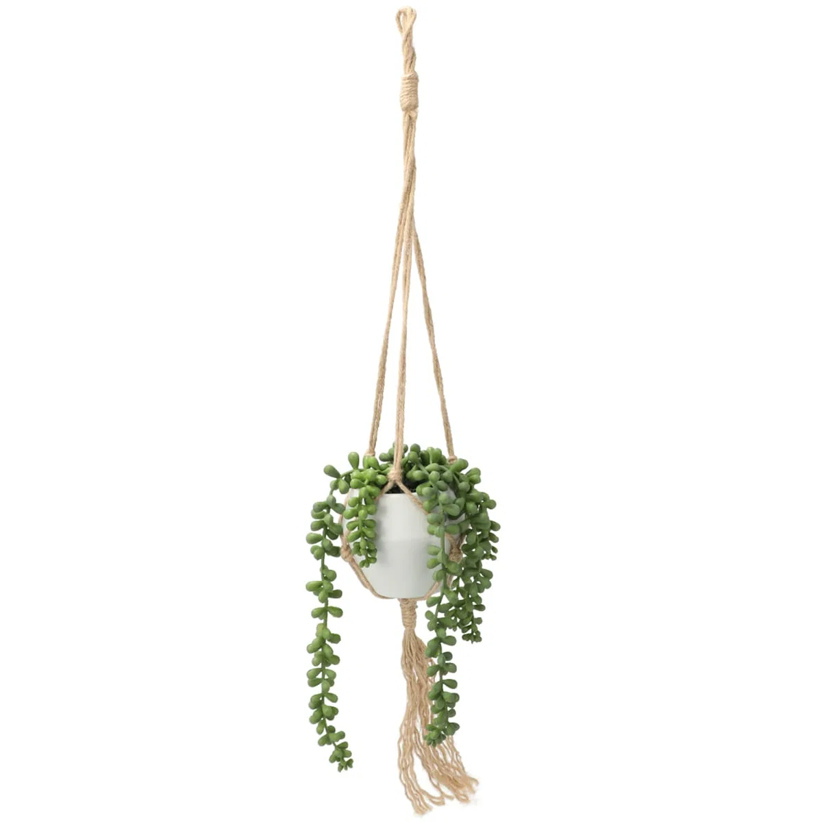 First-Class BEAN LEAVES IN HANGING CERAMIC POT World-Class