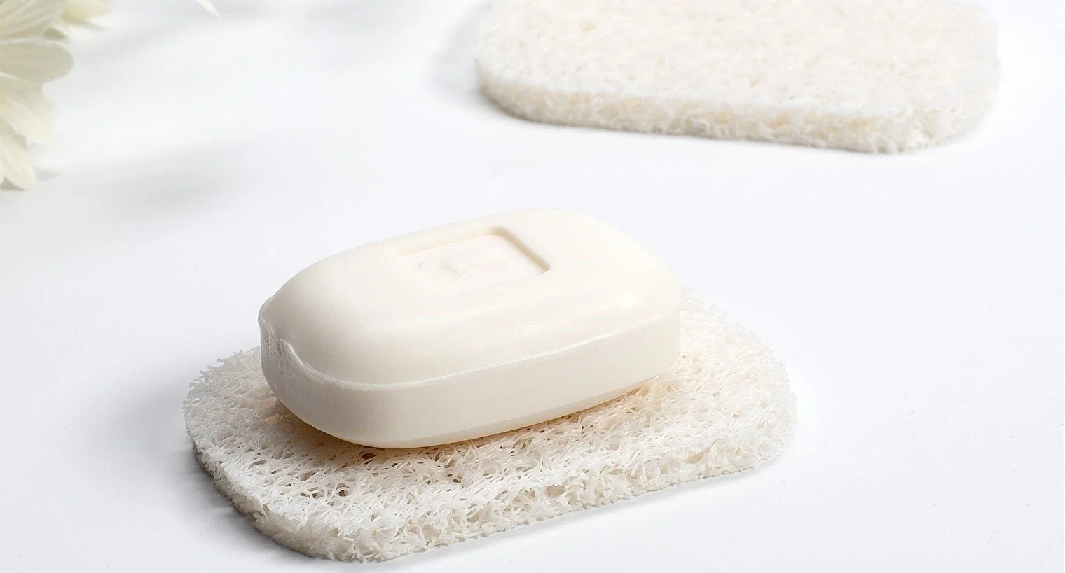 Durable Plastic Soap Saver – set of 2 Sophisticated