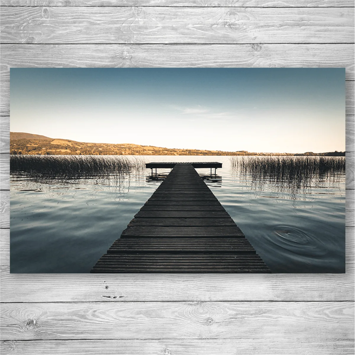 Healthy Lake Canvas 60 x 90 Reliable