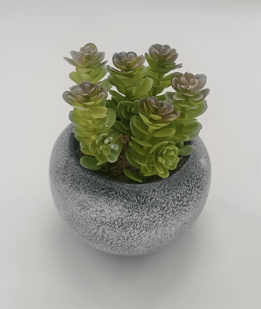 Superior Vintage-Style Succulent 9.5 x 10.5 cm 3.8 x 4.2 Secure