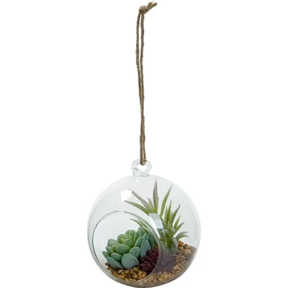 Official MIXED SUCCULENT IN GLASS 11X10X29 Contemporary