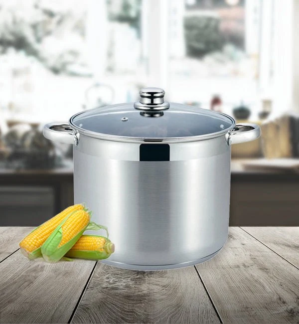 Contemporary MASSIMO-Stockpot with Lid Professional