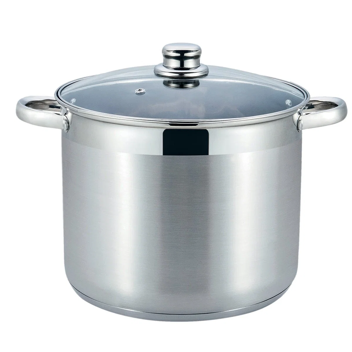 Contemporary Stockpot with Lid Unique
