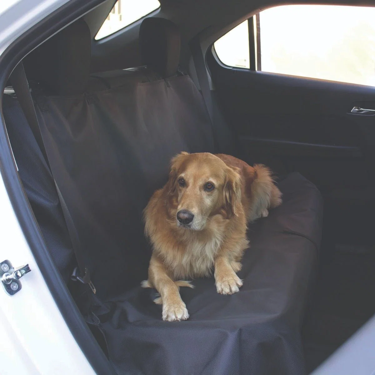 Functional Paws Whiskers – Waterproof Car Seat Cover Green