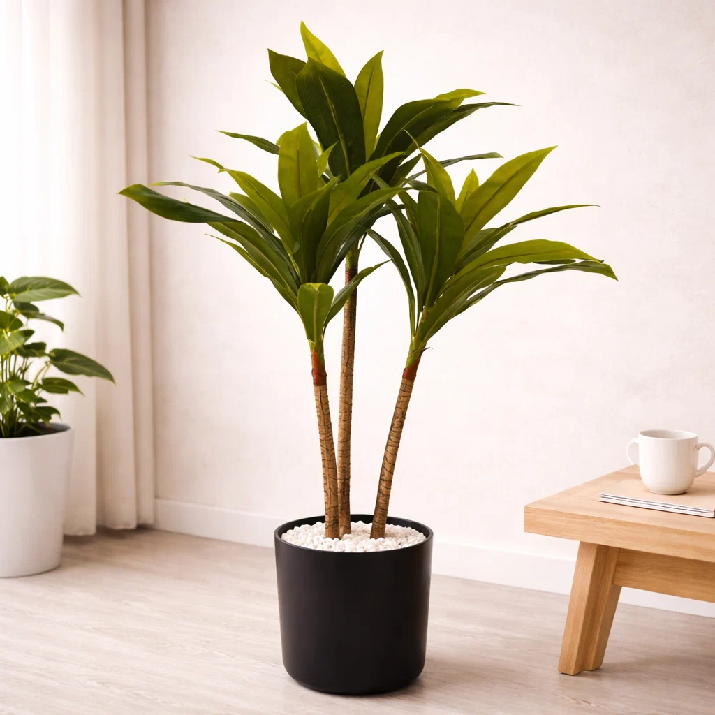 Pure Lauren Taylor – Artificial Dracanea Tree in Black Pot Trusted