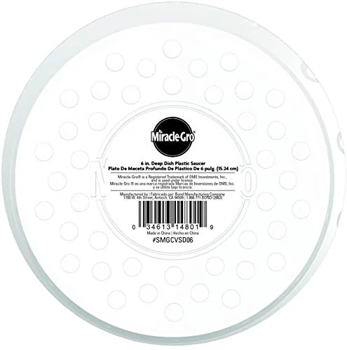 Traditional DEEP DISH PLASTIC SAUCER 6 quot Flexible