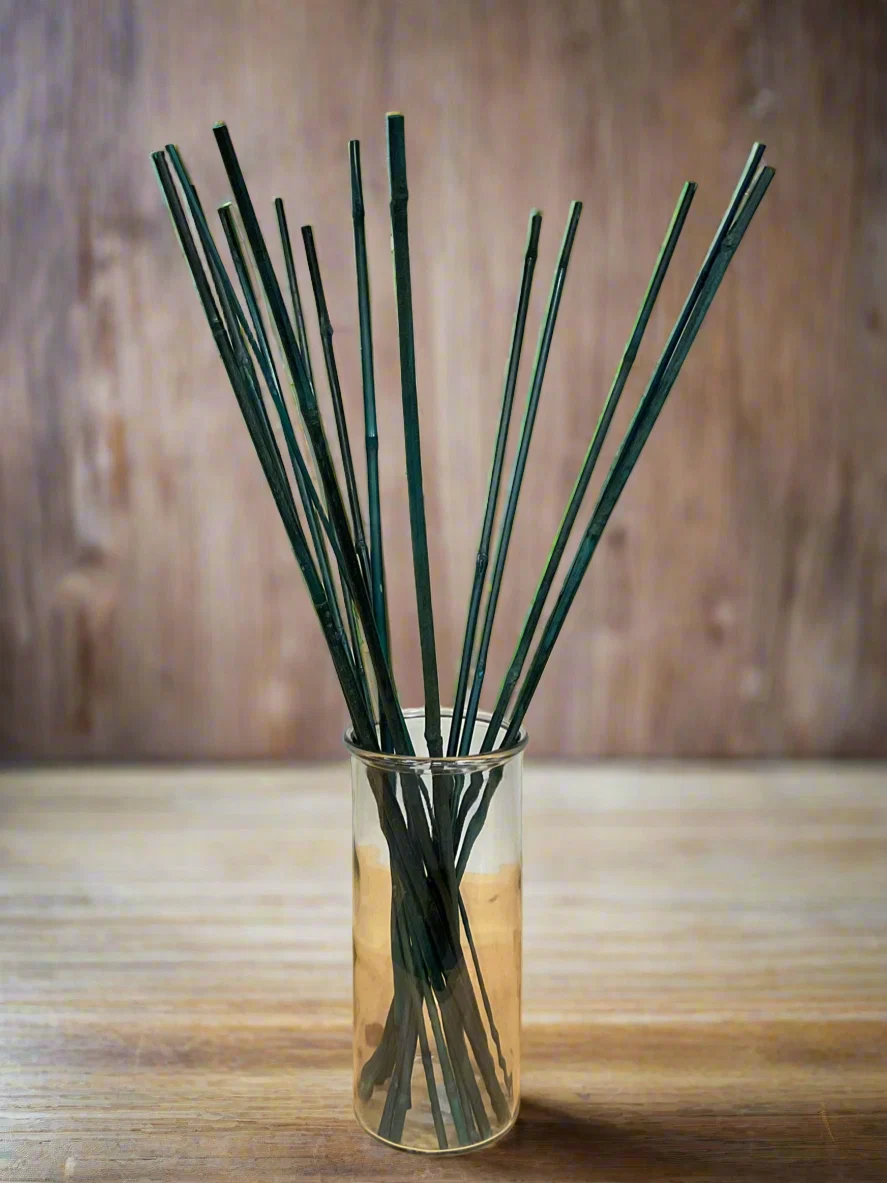 Genuine BAMBOO PLANT STAKE 2 39 GREEN Sophisticated