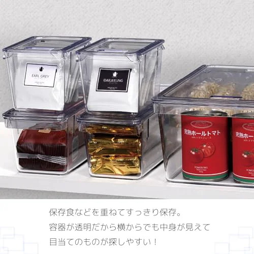 Detailed CLEAR STORAGE CONTAINER MEDIUM Sustainable