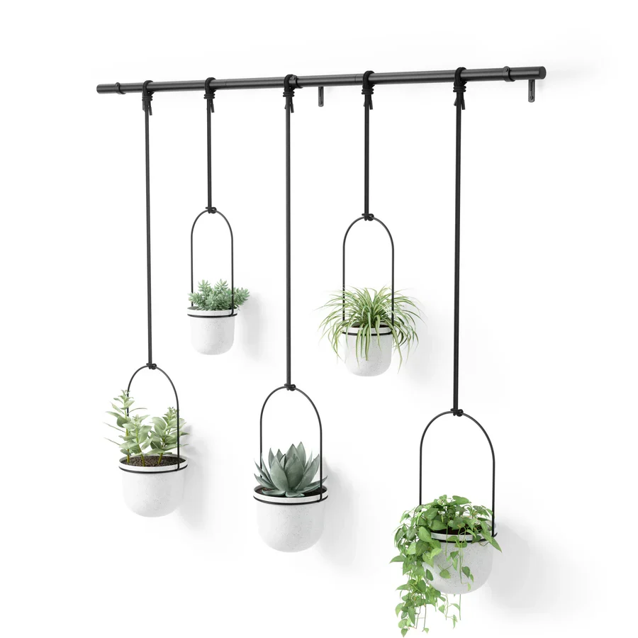 Proven TRIFLORA HANGING PLANTER 5 WH BK Convenient
