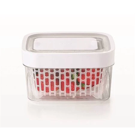 Safe GREENSAVER PRODUCE KEEPER 1.6 QT Casual