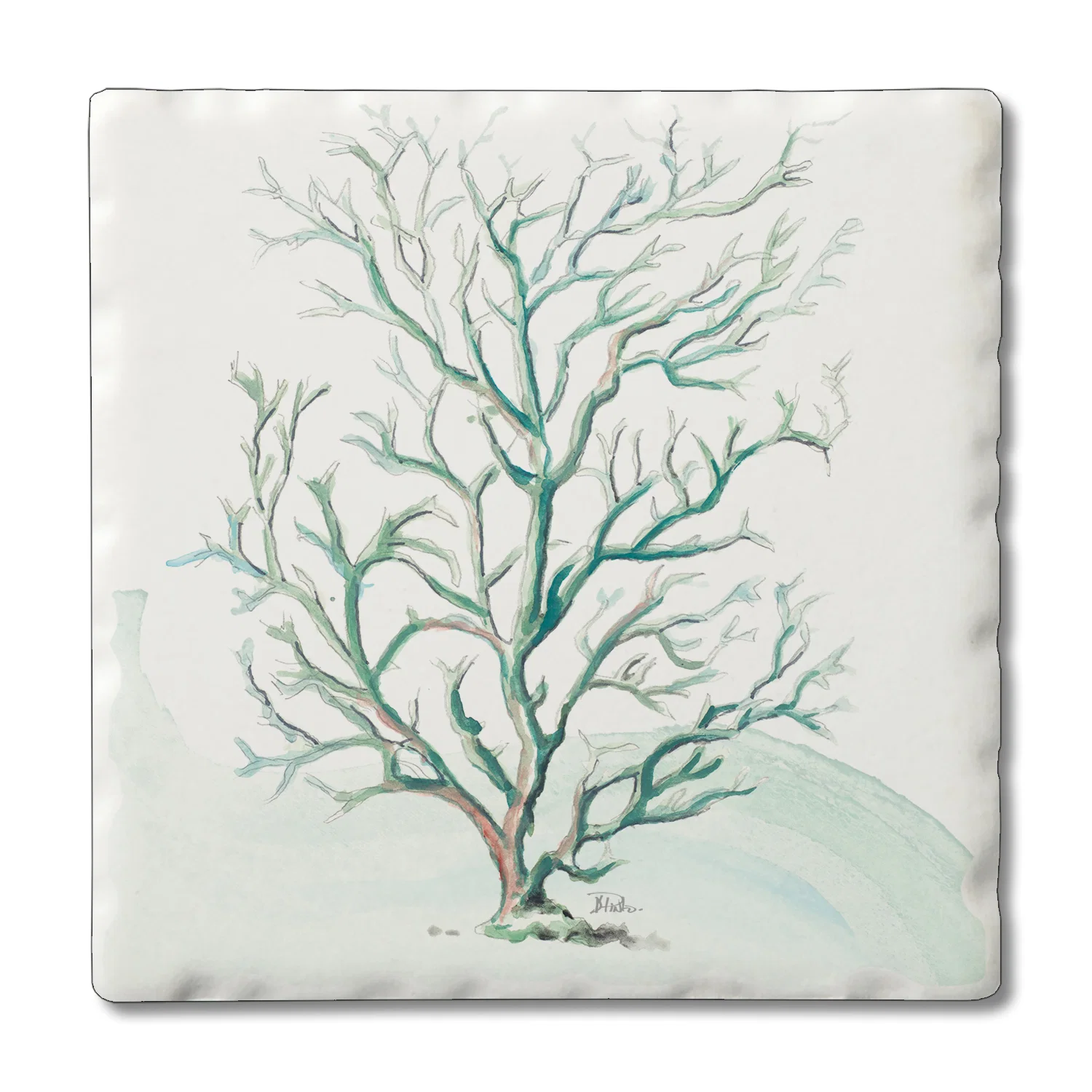 Quality COASTER CORAL REEF Professional