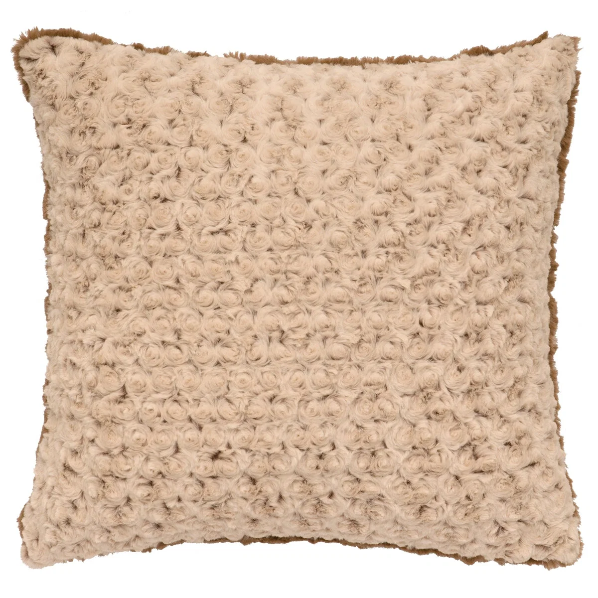 Traditional Bella Rosebud Euro Sham Minimalist