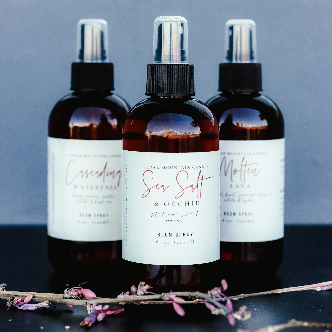 Healthy 8 oz Room Spray – Choose Your Scent Enhanced