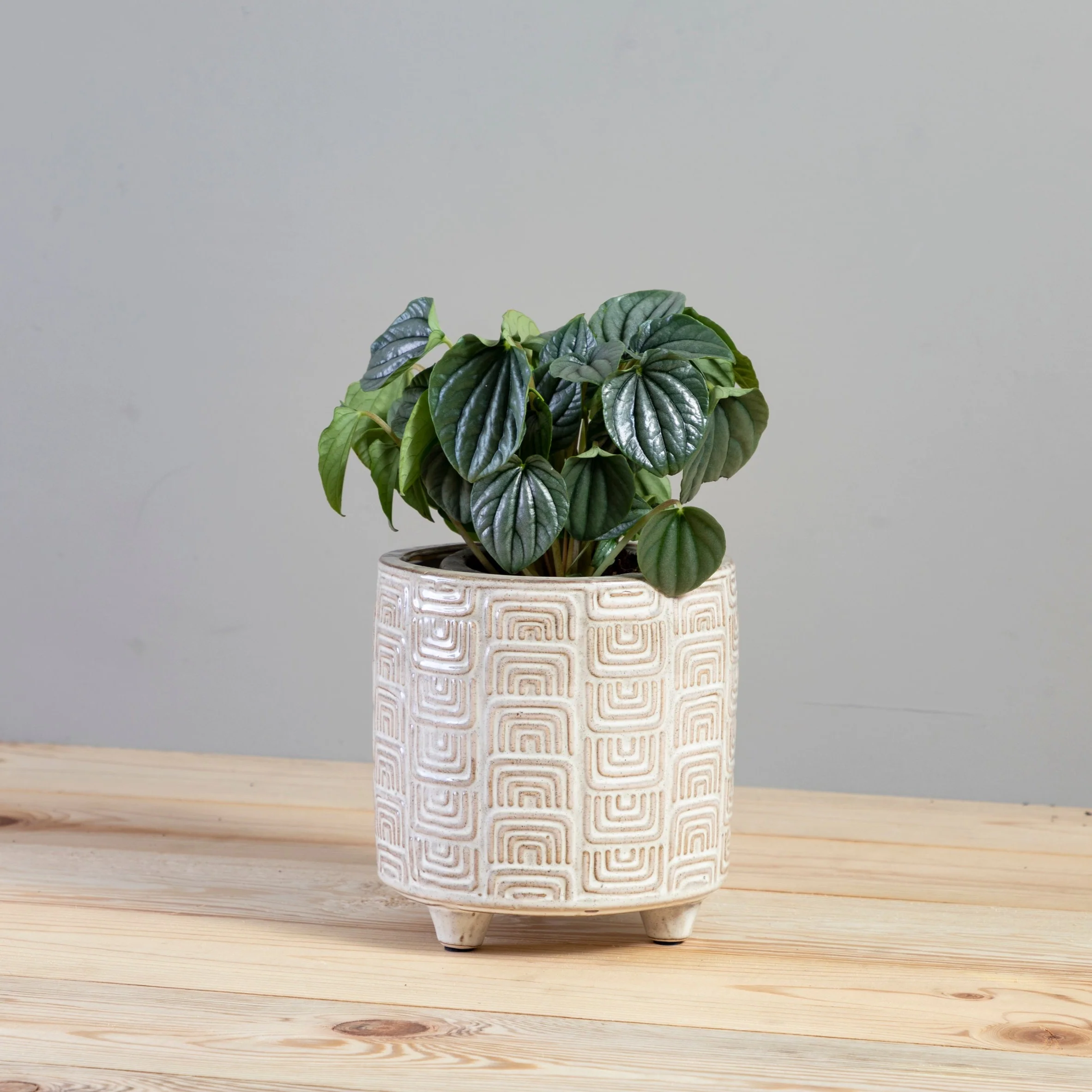 Green Itza Pot Small Breathable