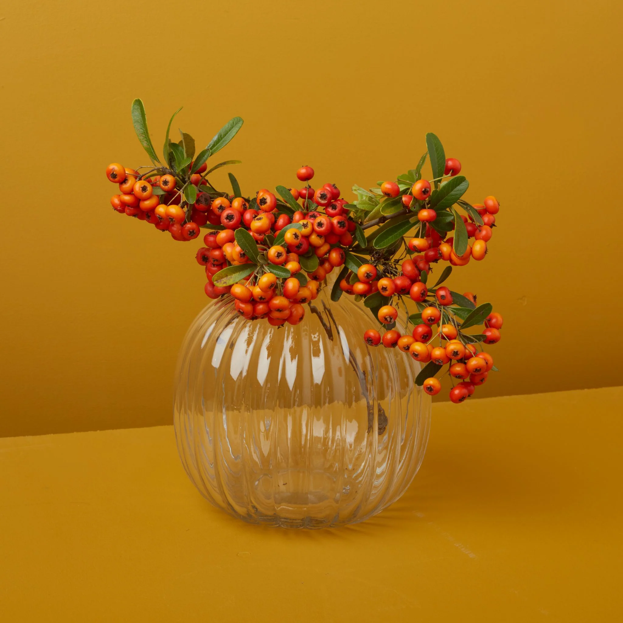 Dependable Shae Spherical Bud Vase Casual