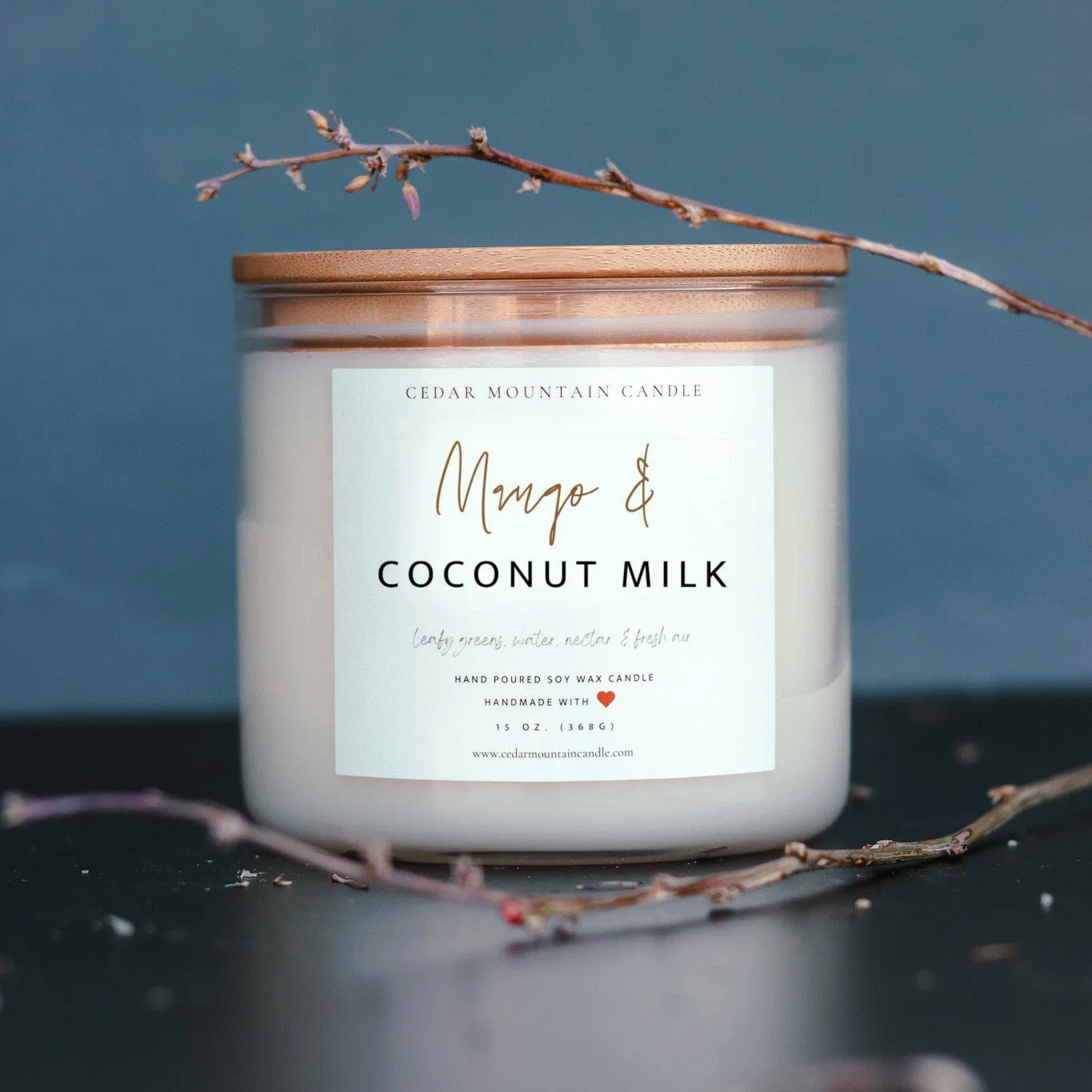 World-Class Mango amp Coconut Milk – 3 Wick Jar Candle Responsible
