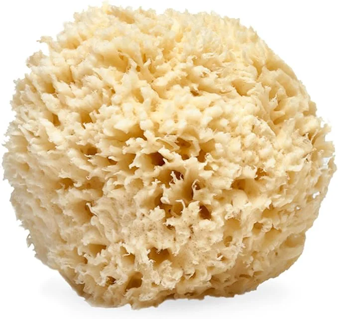 Elegant LATHER – Natural Sea Wool Sponge 4-5 – Organic Exfoliating Body Scrubber – High-Quality