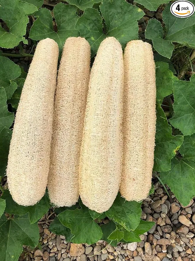 Official Natural Loofah Sponges Organic Luffa Bath Shower Sponge Exfoliating Body Back Sustainable