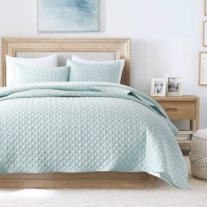 Practical HORIMOTE HOME Quilt Queen Size Aqua Blue Lightweight Quilt for Summer Ultra-Soft Microfiber Modern Style Quilted Clouds Pattern Bedspread Quit Set 3 Pieces Natural