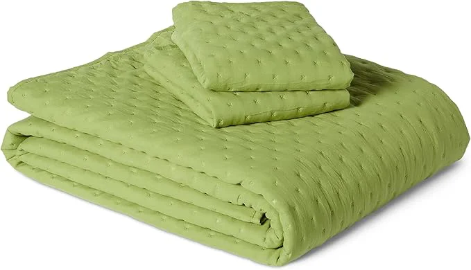 Easy-to-Use Amazon Basics Brushed Microfiber Quilt Set Extra Soft with Natural Texture 3-Piece Queen Full Green Genuine