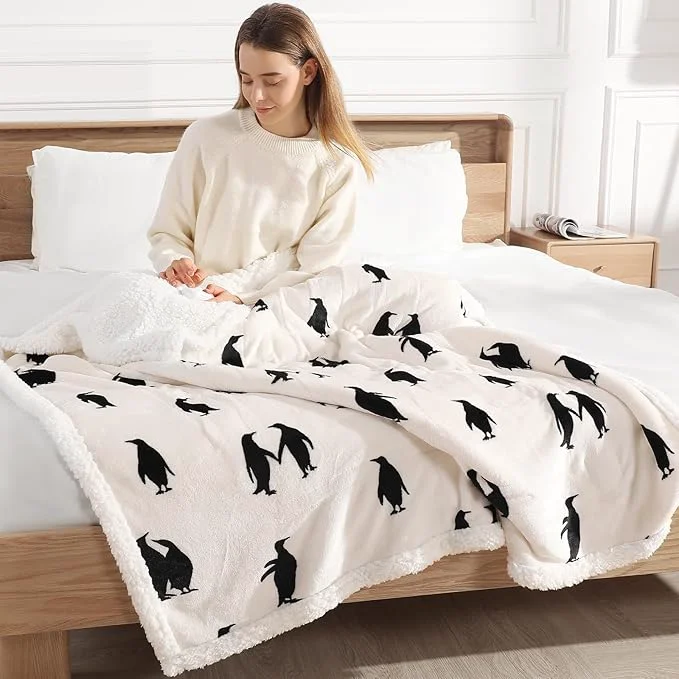 Lightweight Cute Heated Blanket Queen Size Electric Blanket 84 quot x90 quot Dual Controllers to Adjust Heating Levels Heating Blanket Queen with 5 Heating Levels amp 10 Hrs Auto-off Machine Washable Great Birthday Gift Exceptional