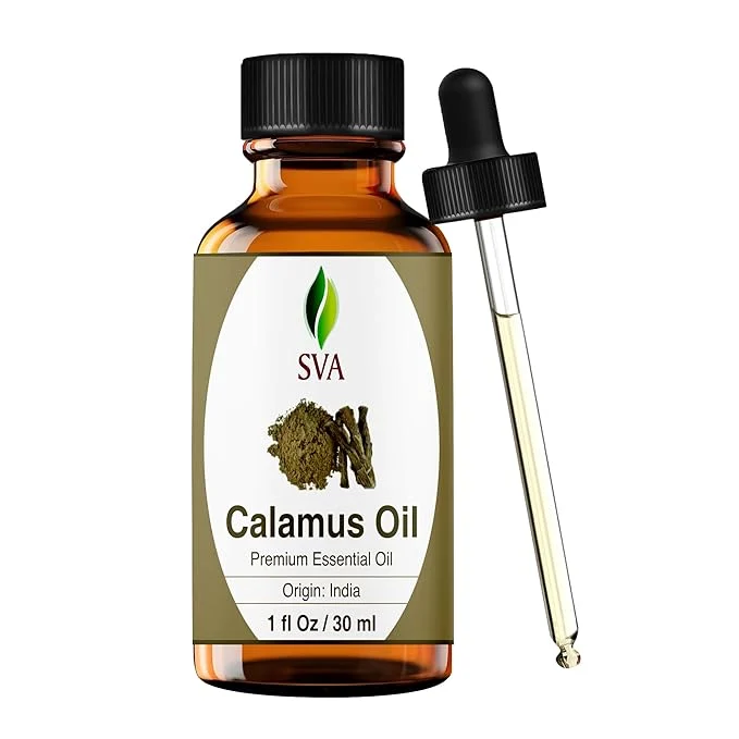 Fashionable SVA Calamus Essential Oil – 1 Fl Oz – Natural Calamus Oil Sustainable