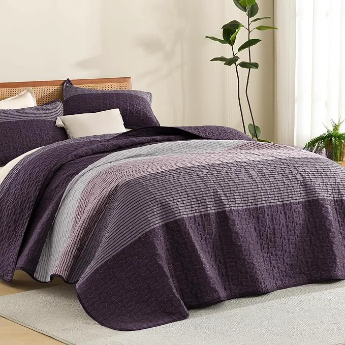 Outstanding Litanika California King Quilt Set Purple and Grey Durable