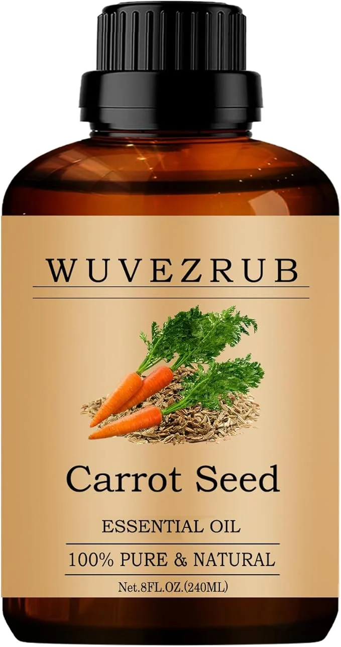 Modern Carrot Seed Essential Oils 240ML Pure and Natural Essential Oil Professional