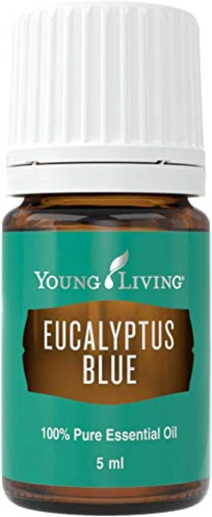 Modern Young Living Eucalyptus Blue Essential Oil 5 ml Premium Invigorating Natural