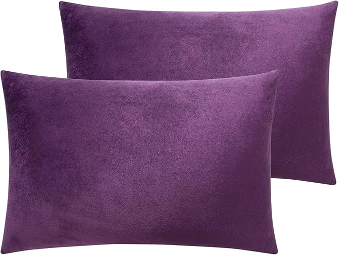 Reliable NTBAY Zipped Velvet Toddler Pillowcases 2 Pack Cozy Luxury Flannel Plush Travel Pillow Cases 13×18 Inches Purple High-Quality