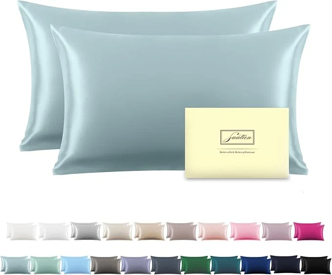 Professional Silk Pillow Cases 2 Pack Soft Breathable and Sliky Queen Size Pillow Cases Set of 2 Natural Mulberry Silk Pillowcase Set of 2 for Hair and Skin with Hidden Zipper Blue Haze 20 quot X 30 quot 2pcs Fashionable