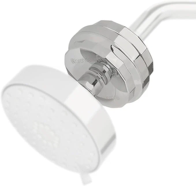 Convenient Brondell Shower Filter VivaSpring Compact Brushed Nickel – High Output Selected