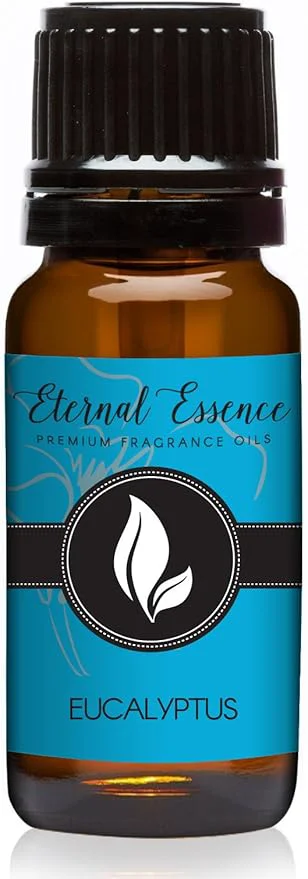 Casual Eucalyptus Premium Grade Fragrance Oil – 10ml – Scented Oil Smart