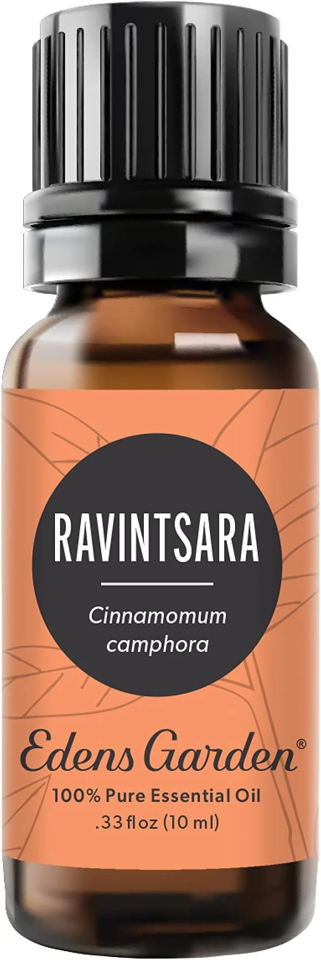 Solid Edens Garden Ravintsara Essential Oil- Pure Premium Grade Therapeutic Durable