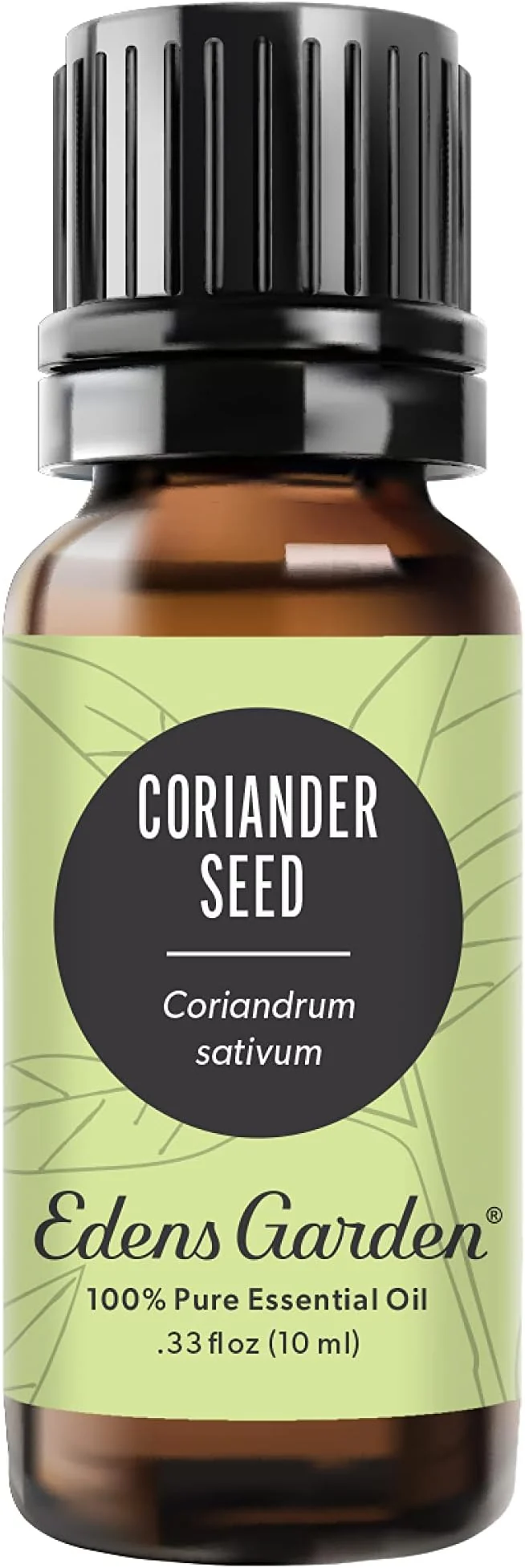 Superior Edens Garden Coriander Seed Essential Oil- Pure Premium Grade Therapeutic