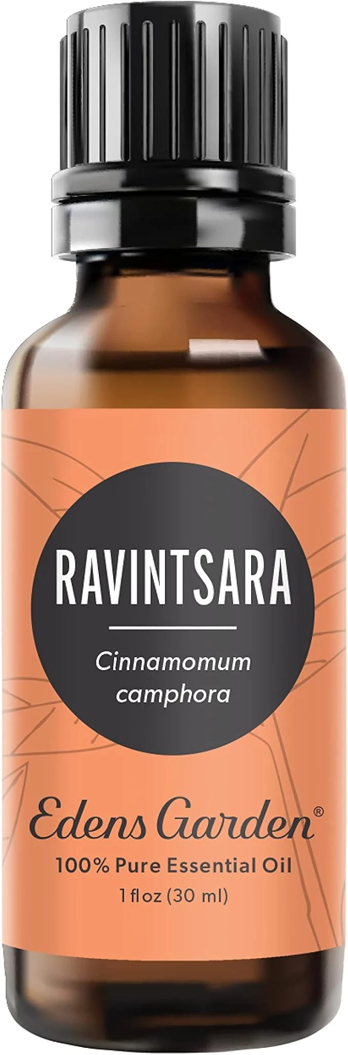 Artisan Edens Garden Ravintsara Essential Oil- Pure Premium Grade Therapeutic Smooth