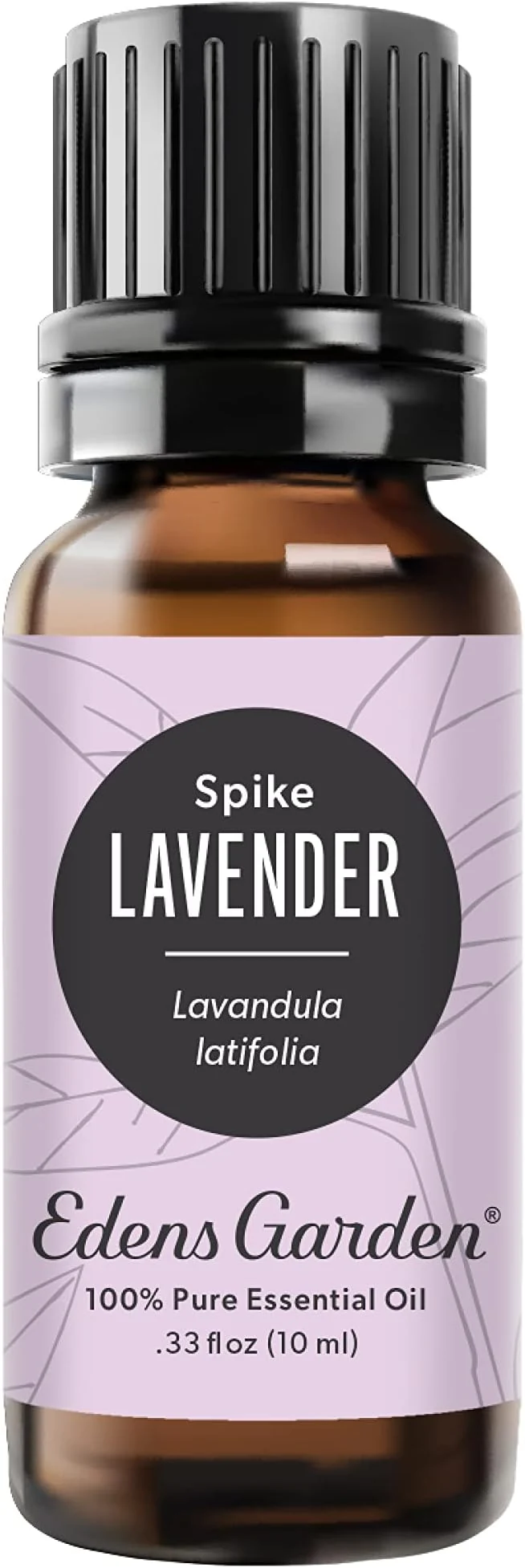 Casual Edens Garden Lavender- Spike Essential Oil- Pure Premium Grade Therapeutic Genuine