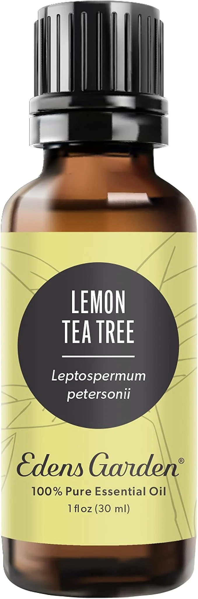 Healthy Edens Garden Lemon Tea Tree Essential Oil- Pure Premium Grade Therapeutic Reusable