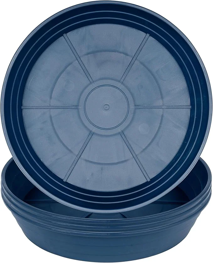 Exceptional Plant Saucer 8 Inch 4 Pack 6 8 10 12 14 16 18 20 25 Plastic Plant Trays Minimalist