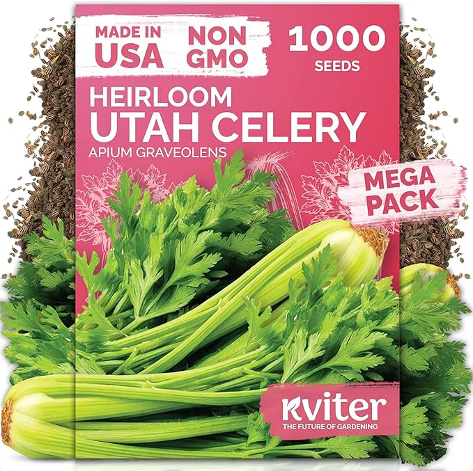 Outstanding KVITER 1000 Tall Utah Celery Seeds – Celery Seed Packets Home Grown – Non GMO Durable