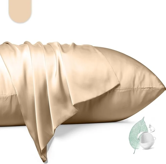 Next-Generation Mulberry Silk Pillowcase 2 Pack Standard Size Silk Pillow Cases Professional