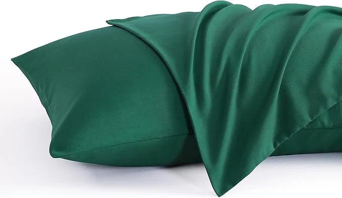 Authentic NTBAY Queen Pillow Cases Set of 2 2 Pack Brushed Microfiber Pillow Cases Soft