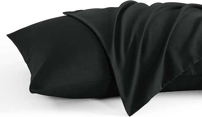 Sophisticated NTBAY Queen Pillow Cases Set 2 Pack Brushed Microfiber 20×30 Inches Stain Stylish