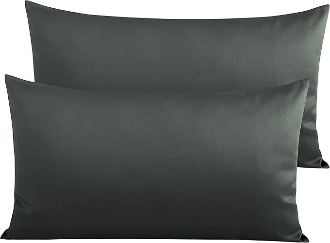 First-Class NTBAY Egyptian Cotton King Pillowcases Proven