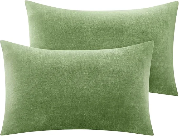 Outstanding BEDELITE Flannel Pillow Cases Queen Size Set of 2 Super Soft Fleece Pillowcases Lightweight