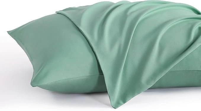 Exceptional NTBAY Standard Pillow Cases Set of 2 2 Pack Brushed Microfiber 20×26 Pillow High-Quality